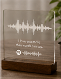 Soundwave Memory Plaque